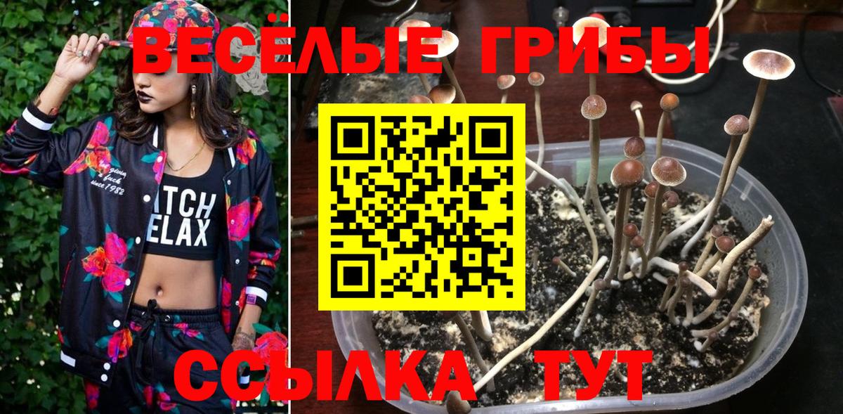 МЕФ Прохладный