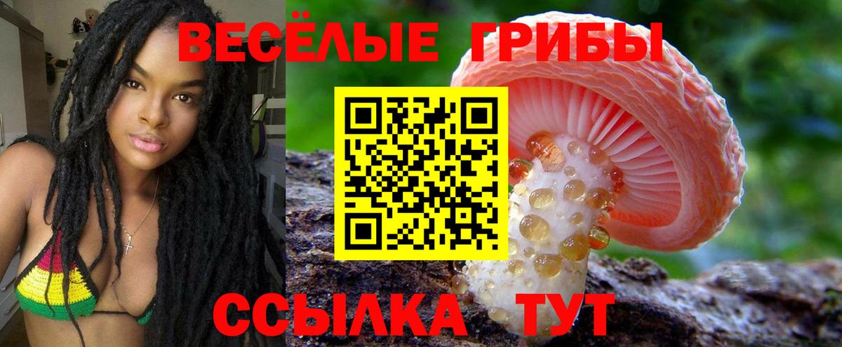 Прохладный  Галлюциногенные грибы мухоморы  Вход с VPN 